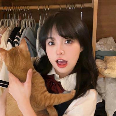 侦探事务所:诈欺猎人