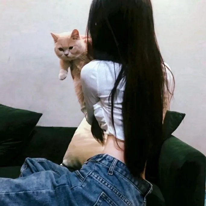 石纪元 龙水